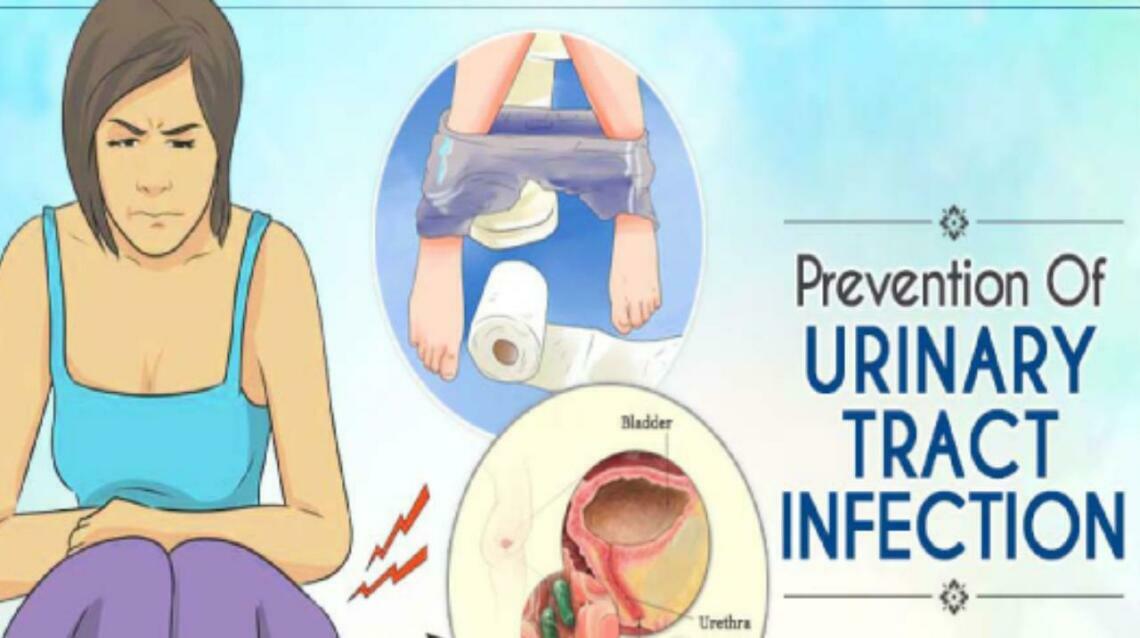 Understanding Uti and Best Diet for Prevention
