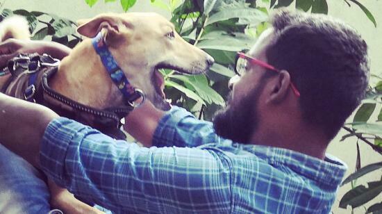 Strange Behaviors of Dogs