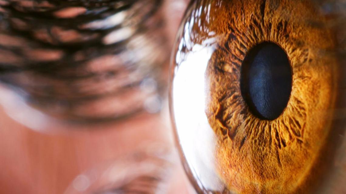 Why Does Prescription of My Glasses Vary at Different Clinics?