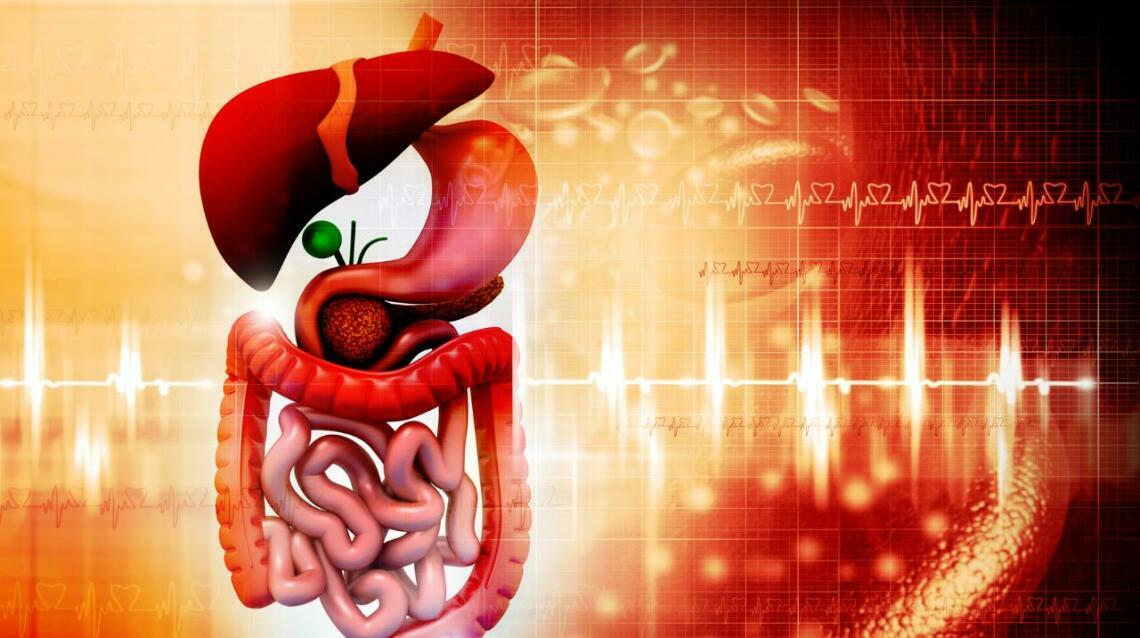 Important of Appetite the Stomach Fire.