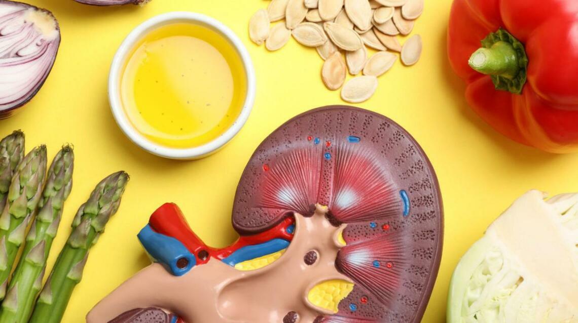 5 Useful Food Choices for a Healthy Renal Condition