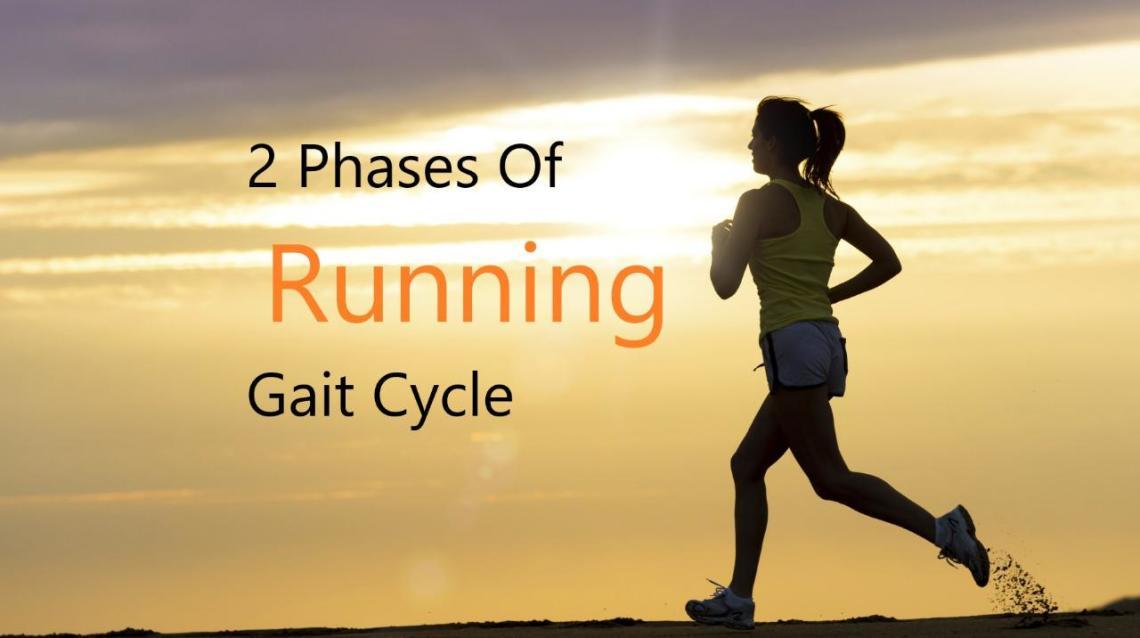 2 Phases of Running Gait Cycle