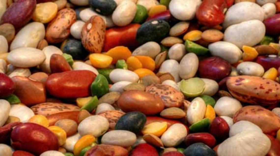 Eat Beans for Weight Loss & Muscle Building
