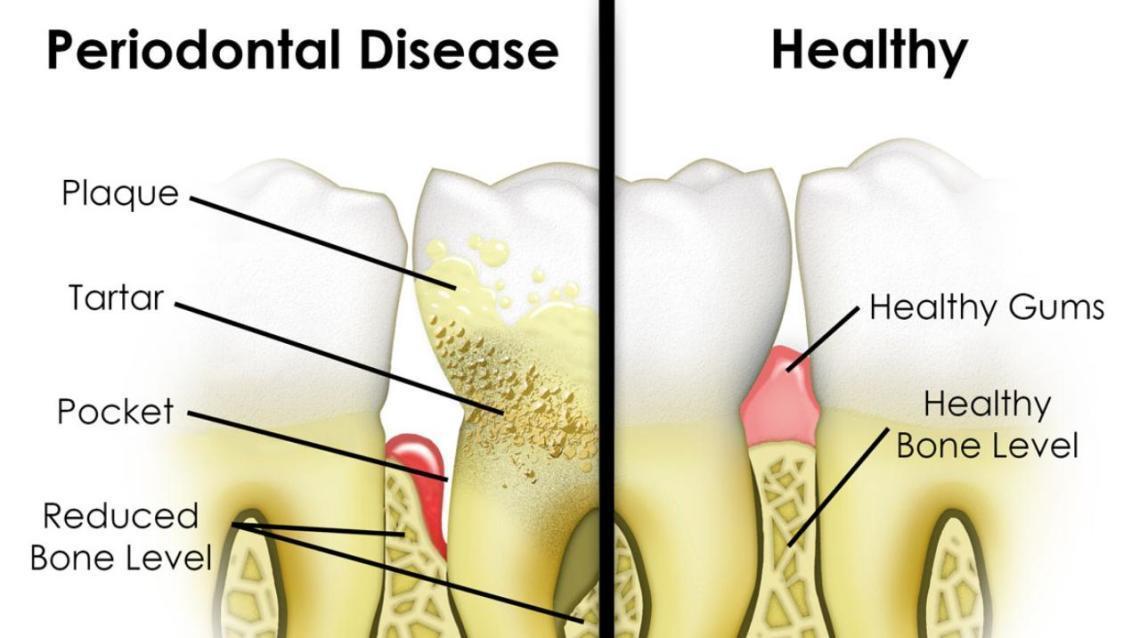 Are Pixie Sticks Bad For Dogs
