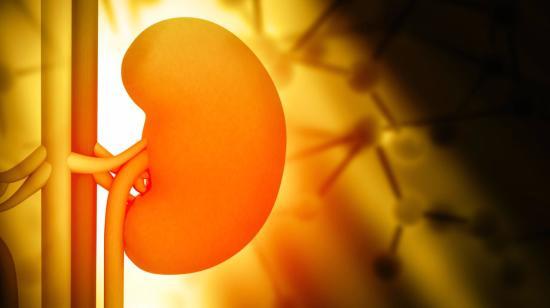 Is Kidney Damage Irreversible?